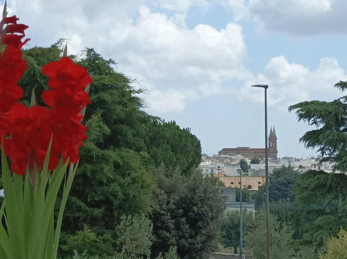 Sognando Alberobello Bed and Breakfast Εξωτερικό φωτογραφία