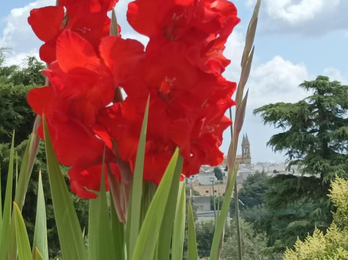 Sognando Alberobello Bed and Breakfast Εξωτερικό φωτογραφία